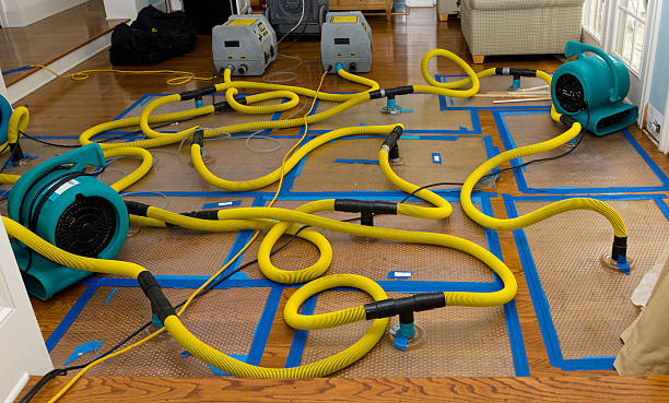 Professional Water Damage Repair technician working in Cataumet, MA